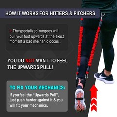 Big League Edge Vpx Softball Harness. Adds 4-6Mph Velocity Power In 3Wks.