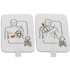 Prestan UltraTrainer – English/Spanish – 4-Pack