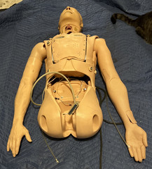 LAERDAL ALS Simulator (Prod. No: 205-05050) (Not Tested, For Parts)