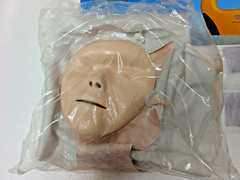 Laerdal MiniAnne CPR & AED Trainer – PN: 103-09003 New